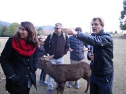 「奈良の自然に目を向けてほしい」というブライアンさん(右)=11月下旬、奈良公園で