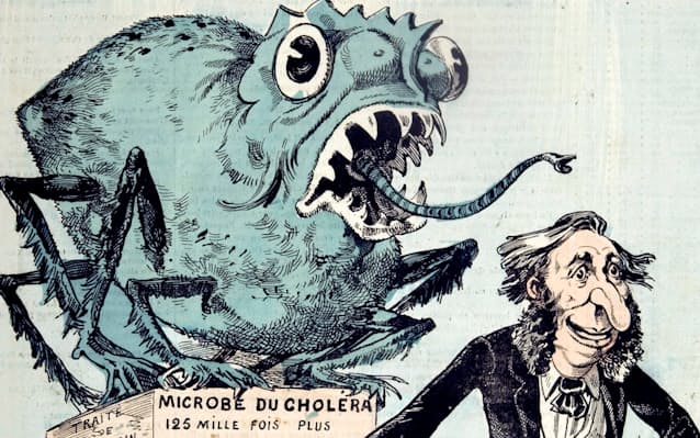 「コレラ菌の微生物」の想像図（1884年）