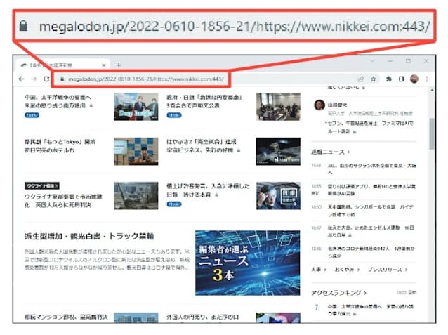 図6 取った魚拓が表示される。本物そっくりだがコピーなので、URLを「メモ帳」アプリなどにコピペしておく