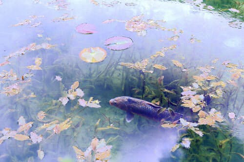 (写真:PIXTA)