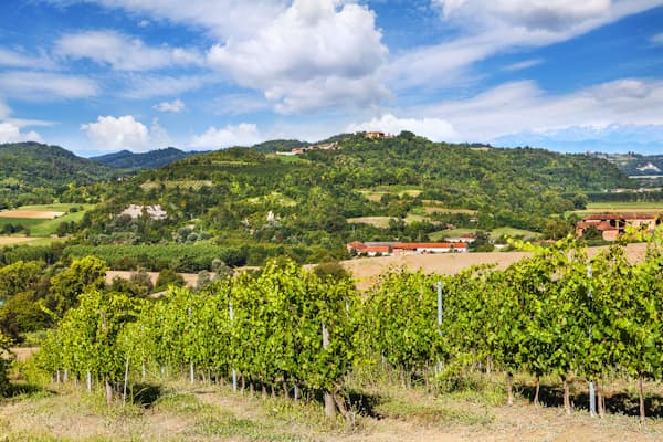 イタリアのピエモンテ州は農業が盛んなことでも知られる。写真はイメージ  =PIXTA